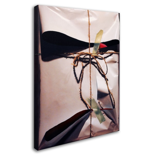 Roderick Stevens 'White Wrap With Twine' Canvas Art,35x47